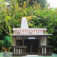 Narhi Indrana