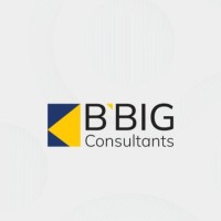 BBIG Consultants