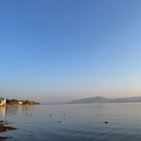 Lei Q.