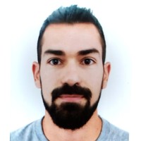 Gianluca Artioli