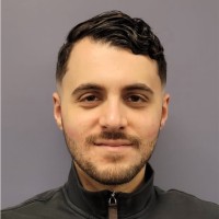 Ali Houmani, Cea-It