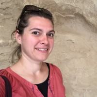 Ada Vultur