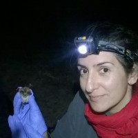 Tamara Casal Mosquera