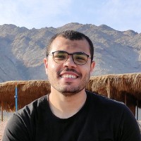 Mohamed Mohsen