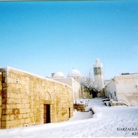 jaber messaoudi