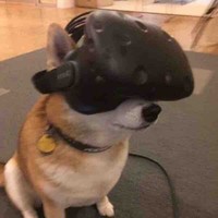 张世阳