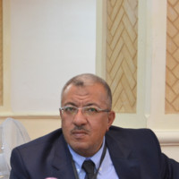 HAZEM ELSHOURAFA