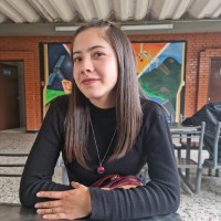 Viviana Camila Alfonso Pava