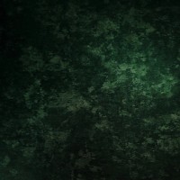 Nik Morozov