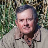 Dennis Lingohr