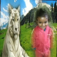 Ajeet singh Kushwaha