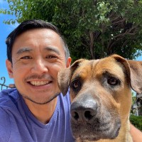 Allen Choi