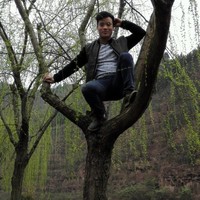 Qiao Wang