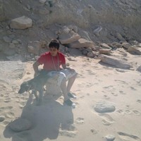 Safir Kamal