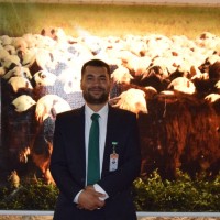 Ahmed Farahat