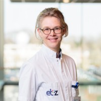 Irene v Echteld