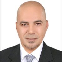 Waleed Negm