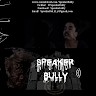 Speaker Bully