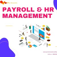 Pro Innovative Software