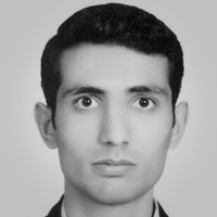 Mehdi Tavakoli