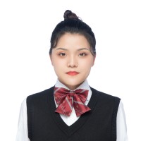车斯文