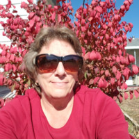 Deb Simmer