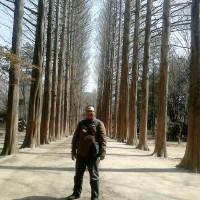 Iwan Kurniawan, Apai, Ciib
