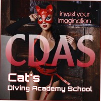Cat'S Diving Academy School