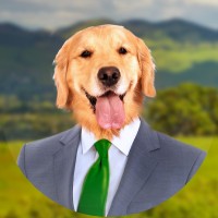 Pleasant Hilliard Goldendale the First