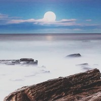 张小轩