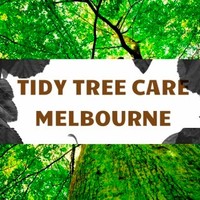 Tidy Tree Care Melbourne