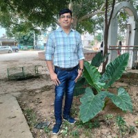 Pradipkumar Patel