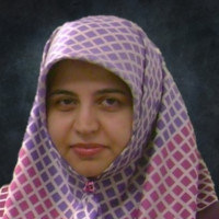 Sima Noghanian