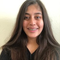 Mina Parwani