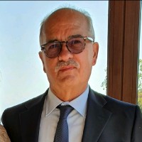 Alfonso Marini
