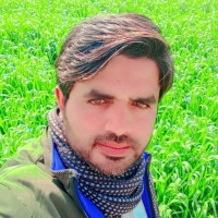 Qaswar Abbas