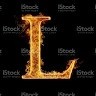 Lijesh K Siddarth