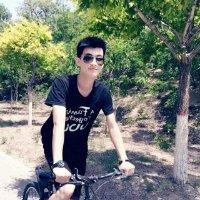 刘笑宇