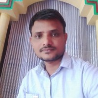 Pratap N.
