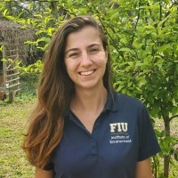 Erika R. Guimaraes