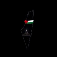 Amr Nady 🇵🇸 🇵🇸 🇵🇸