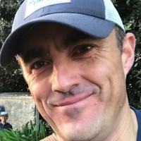 Phillip Brophy Chartered Forester/Arboriculturist