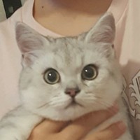 Shudong Sun