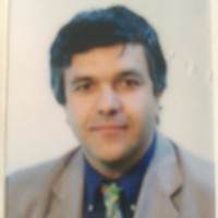 massimo franceschetti