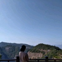 金丽莉