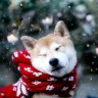 Ping Pong