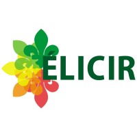 Communications Élicir