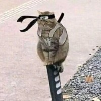 张嘉祥