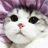 范凌宇