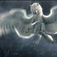 SKY WOLF